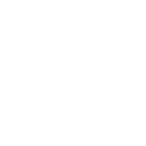 Dywaniki EVA przód do Renault Scenic II 2003-2009 - obrys