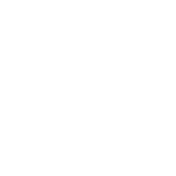 Dywaniki EVA przód do Mercedes Citan 2012-2021 2 siedzeń - obrys