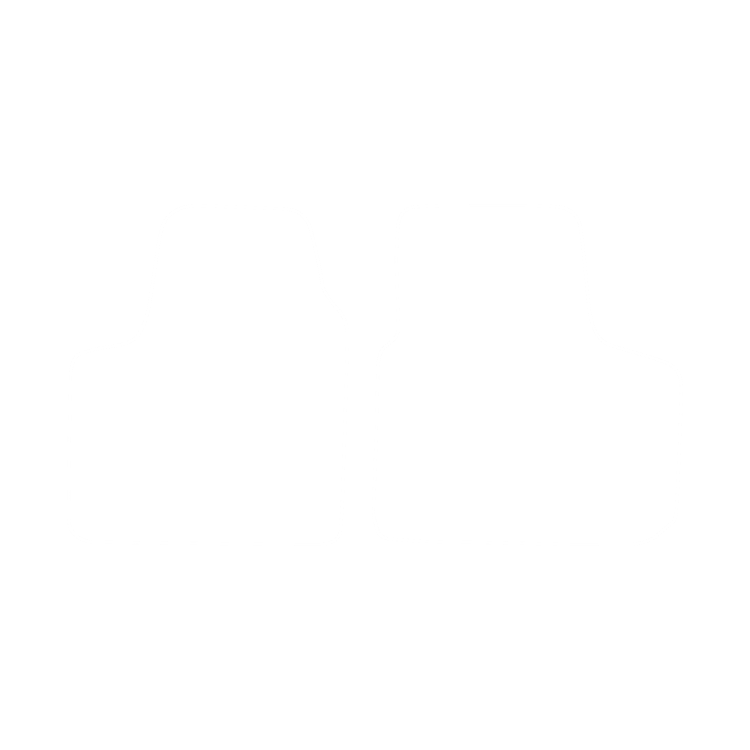 Dywaniki EVA przód do Renault Trafic II (3 siedzenia) 2001-2014 - obrys