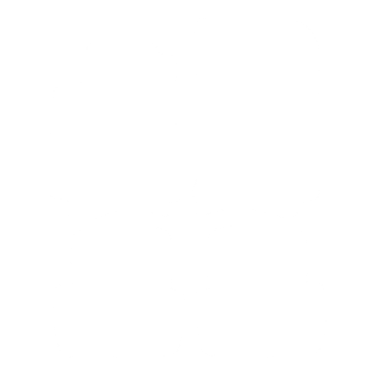 Dywaniki EVA przód do Renault Laguna II 2001-2007 - obrys