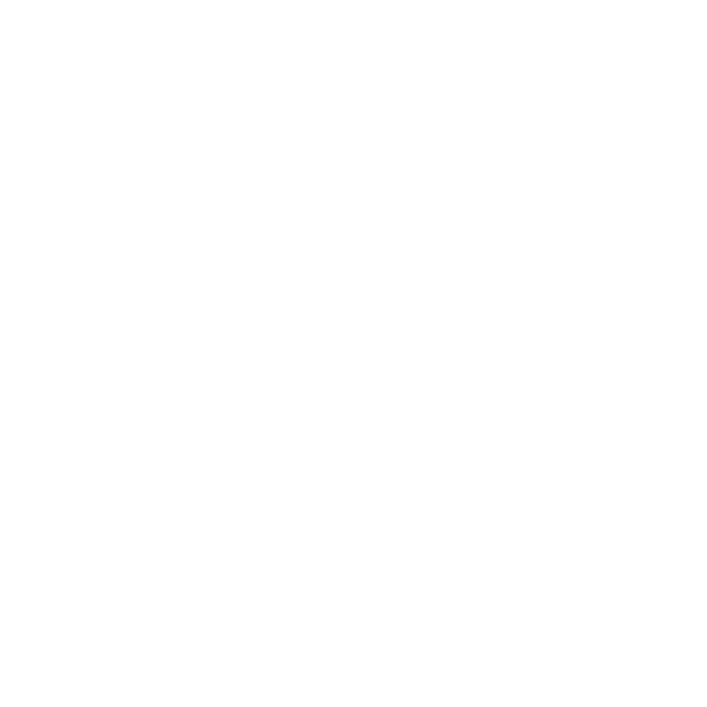 Dywaniki EVA do Renault Master II 1998-2003