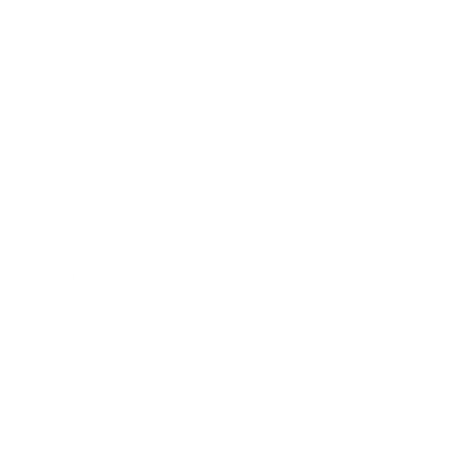 Dywaniki EVA do Renault Scenic I 1996-2003