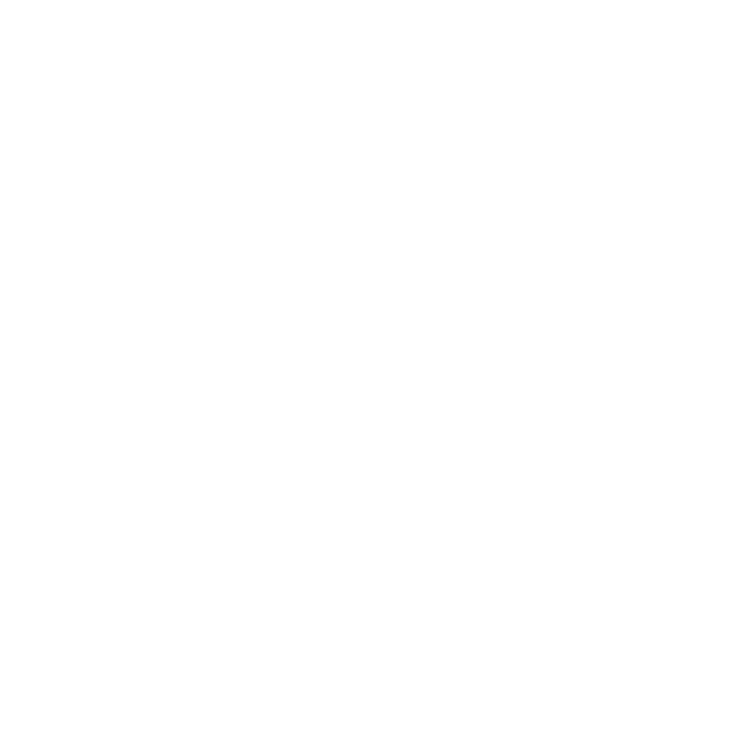 Dywaniki EVA przód do Renault Twingo I 1993-2007 - obrys