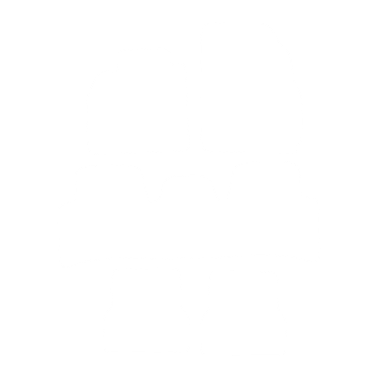 Dywaniki EVA przód do Renault Grand Scenic II (7 siedzeń) 2003-2009 - obrys