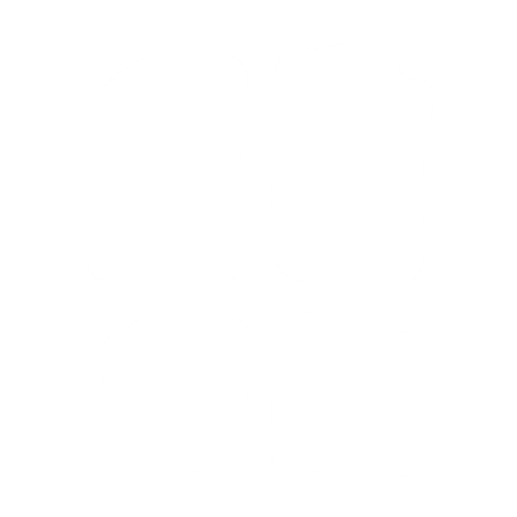 Dywaniki EVA przód do Renault 19 1991-1997 - obrys