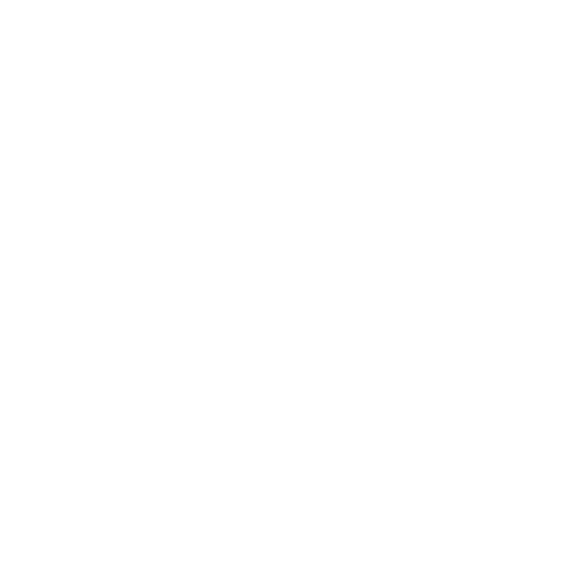 Dywaniki EVA do Renault Kangoo II (5 siedzeń) 2008-2021