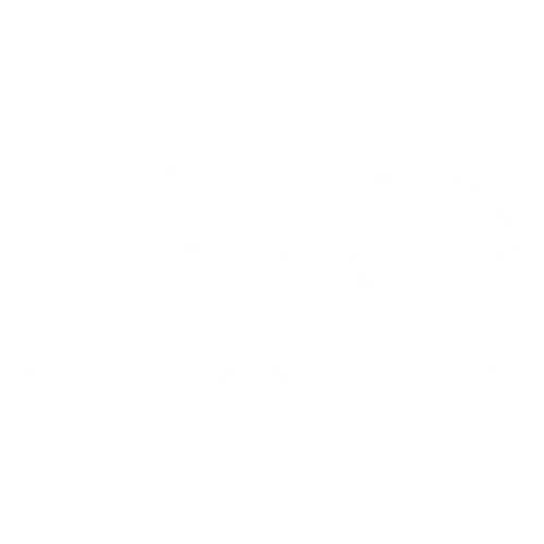 Dywaniki EVA przód do Renault Master III 2010- - obrys