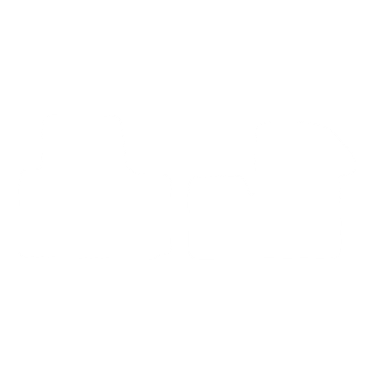 Dywaniki EVA przód do Renault Master III 2010- - obrys