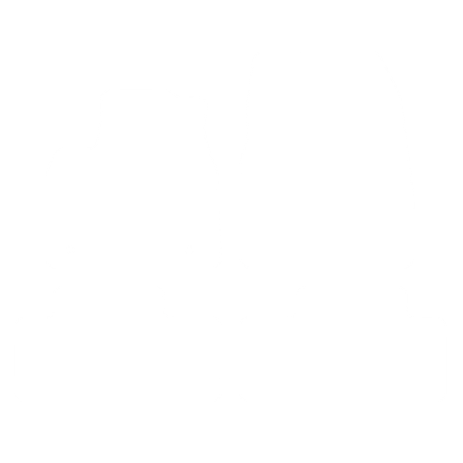 Dywaniki EVA do Renault Megane E-Tech Electric 2022