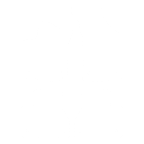 Dywaniki EVA przód do Volkswagen Phaeton 2002-2016 - obrys