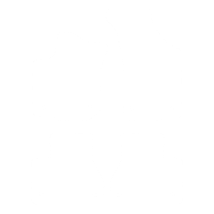 Dywaniki EVA przód do Volkswagen Phaeton 2002-2016 - obrys