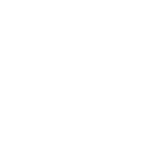 Dywaniki EVA przód do Volkswagen Lupo 1998-2005 - obrys