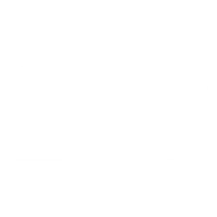 Dywaniki EVA przód do Volkswagen LT (3 siedzenia) 1996-2005 - obrys