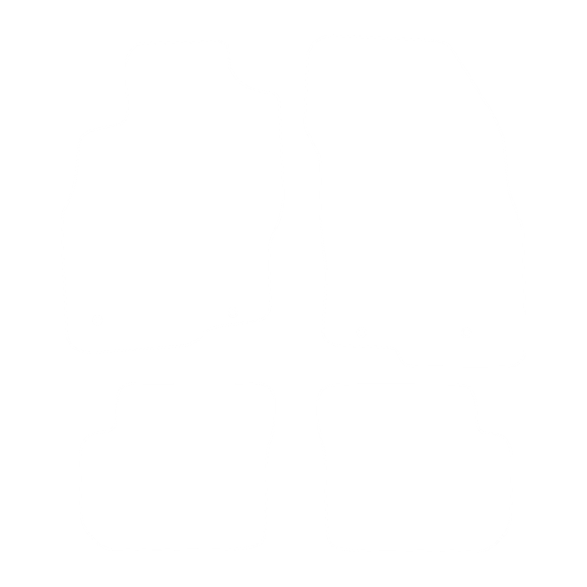 Dywaniki EVA do Alfa Romeo Mito 2008-2018