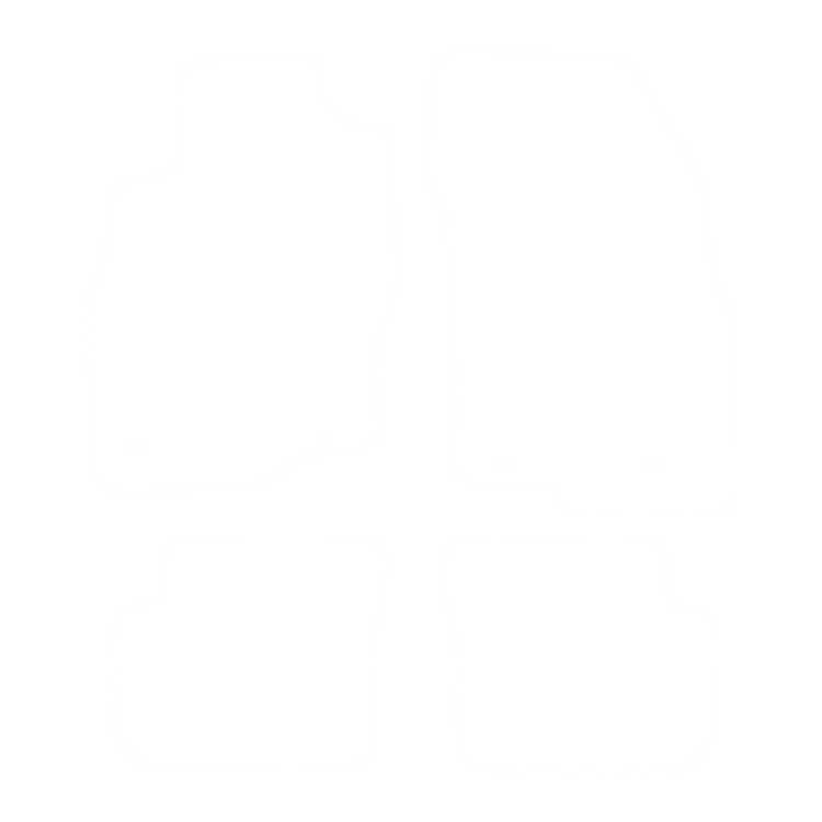 Komplet dywaników EVA do Alfa Romeo Mito 2008-2018 - obrys