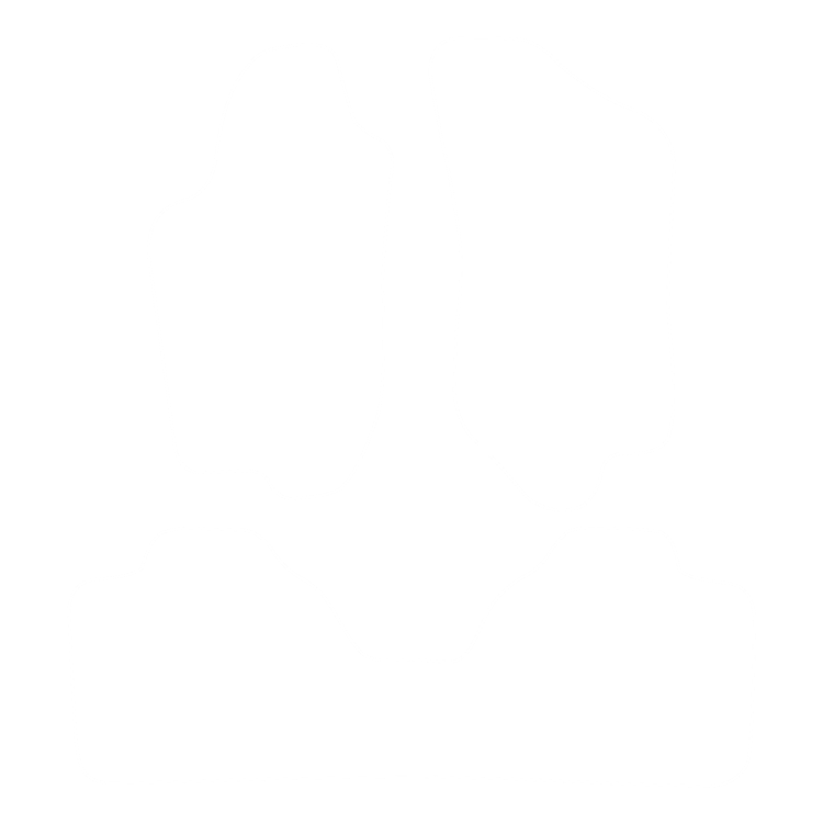 Komplet dywaników EVA do Alfa Romeo 146 1994-2001 - obrys