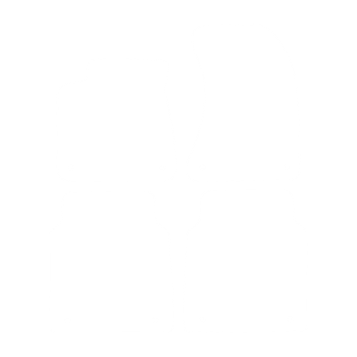 Komplet dywaników EVA do Audi A8 D4 W12 Wersja Długa 2009-2017 - obrys