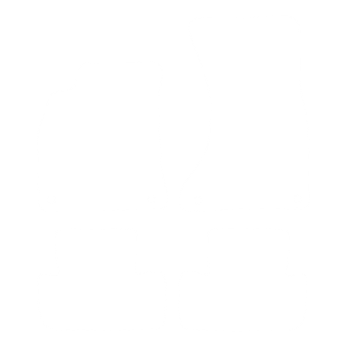 Komplet dywaników EVA do Audi A4 IV B8 2007-2015 - obrys