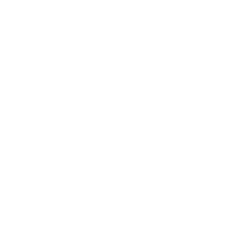 Komplet dywaników EVA do Audi A6 III C6 2004-2008 - obrys