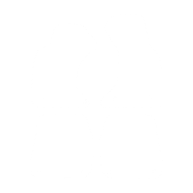 Dywaniki EVA do Audi S4 B5 1997-2001