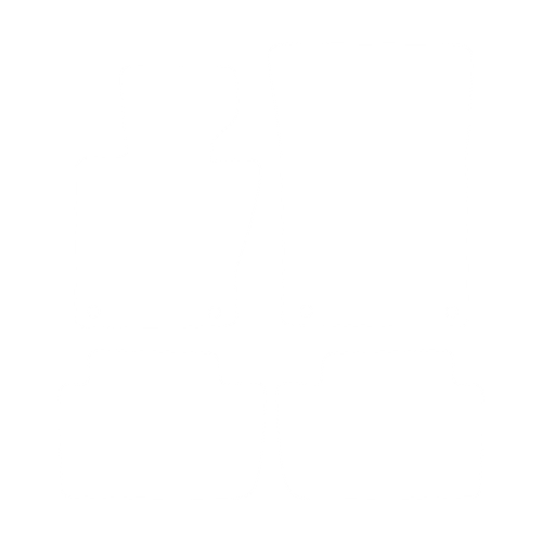 Komplet dywaników EVA do BMW X3 seria E83 2004-2010 - obrys