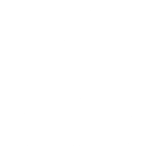 Komplet dywaników EVA do BMW 3 seria E46 Sedan/Touring/Coupe/Compact 1998-2004 - obrys