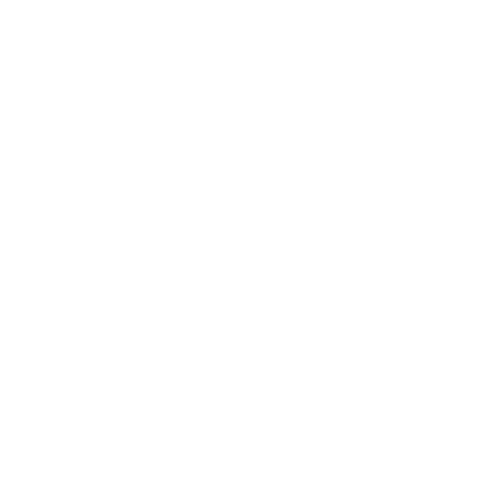 Komplet dywaników EVA do Citroen C4 I 2004-2010 - obrys