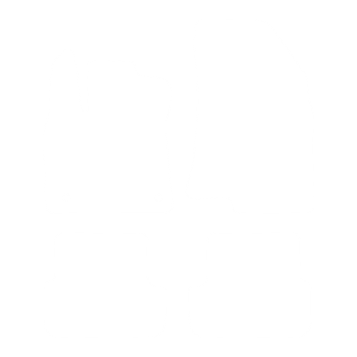 Komplet dywaników EVA do Dacia Sandero III 2020- - obrys