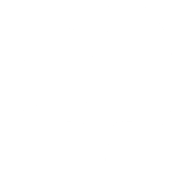 Dywaniki EVA do Daf XF 95 