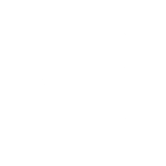 Dywaniki EVA do Ferrari F355 