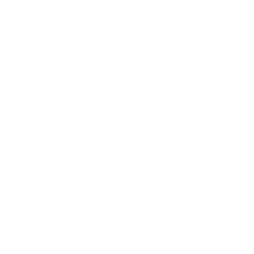 Komplet dywaników EVA do Fiat Scudo II (2/3 siedzenia) 2006-2016 - obrys