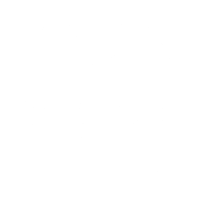 Komplet dywaników EVA do Fiat Scudo I (5 siedzeń) 1996-2006 - obrys