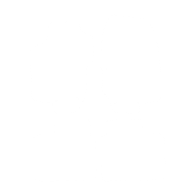 Dywaniki EVA do Lancia Lybra 1999-2006