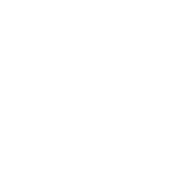 Komplet dywaników EVA do Lancia Lybra 1999-2006 - obrys