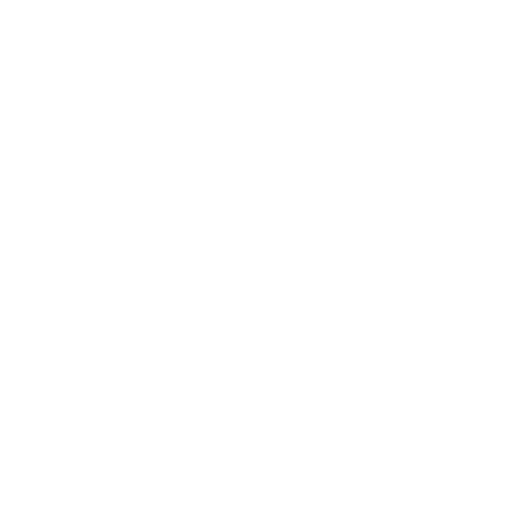 Komplet dywaników EVA do Mercedes Vito V-klass II W447 (5 siedzeń) (wersja z 4 szynami) 2015- - obrys