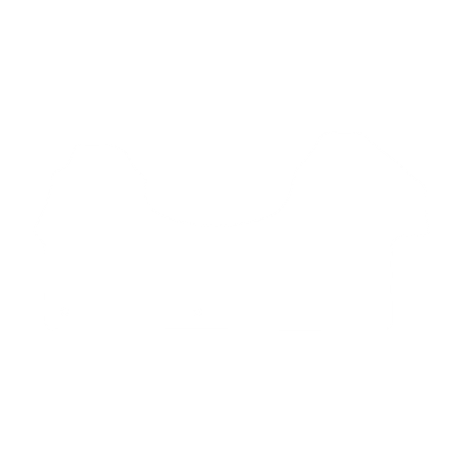 Dywaniki EVA do Mercedes EQC N293 2018