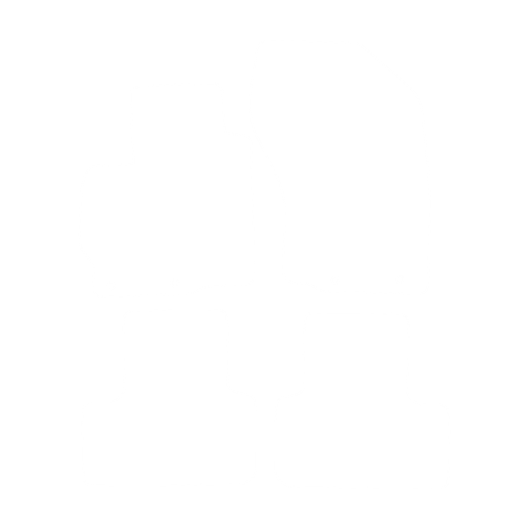 Komplet dywaników EVA do Mitsubishi ASX 2010-2022 - obrys