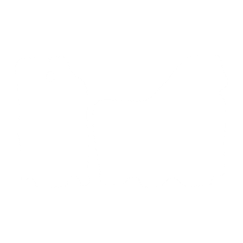 Komplet dywaników EVA do Opel Movano I A 1998-2003 - obrys