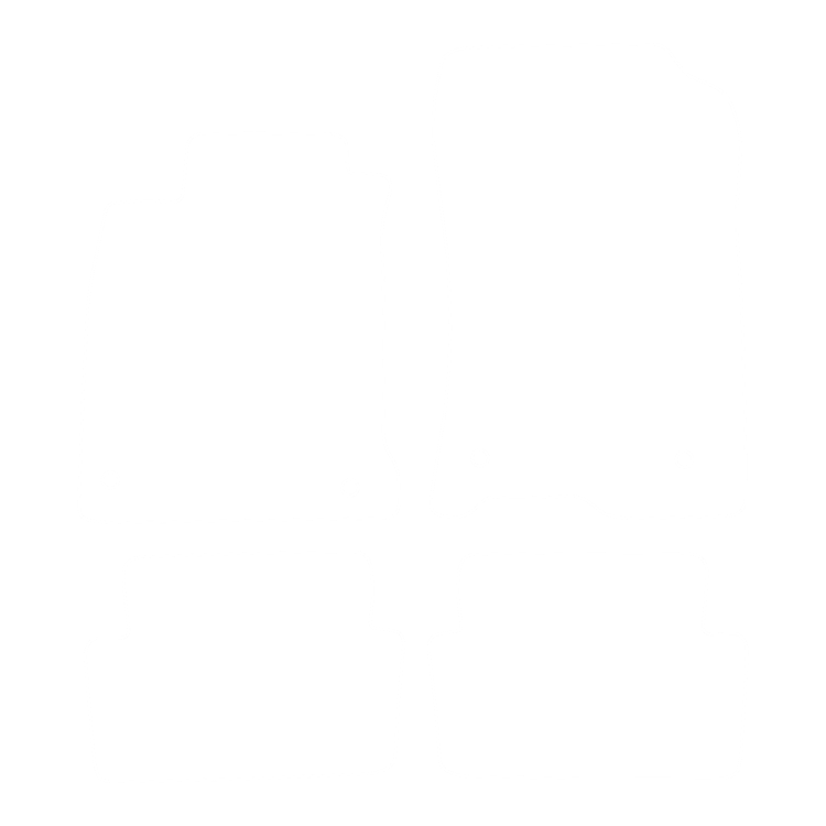 Komplet dywaników EVA do Renault Laguna III 2007-2015 - obrys