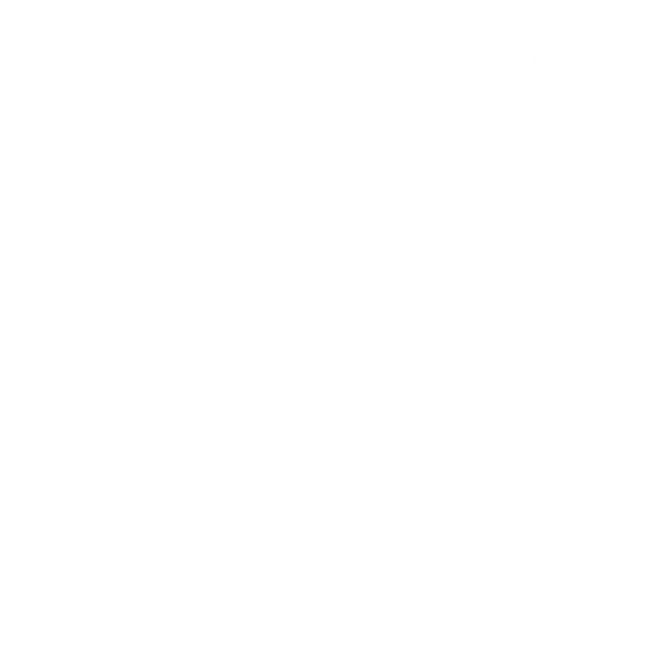 Dywaniki EVA do Renault Clio III 2005-2011