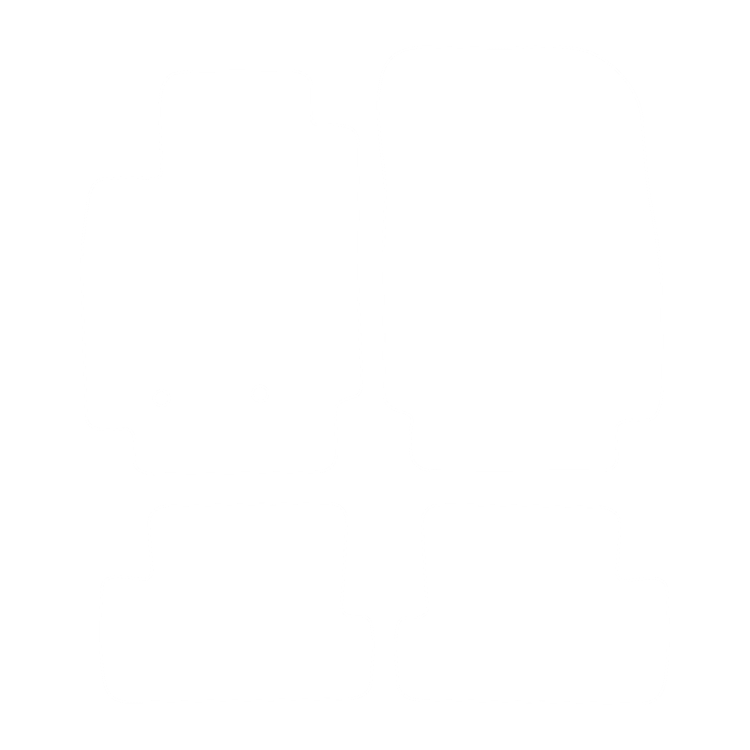 Komplet dywaników EVA do Renault Clio III 2005-2011- - obrys