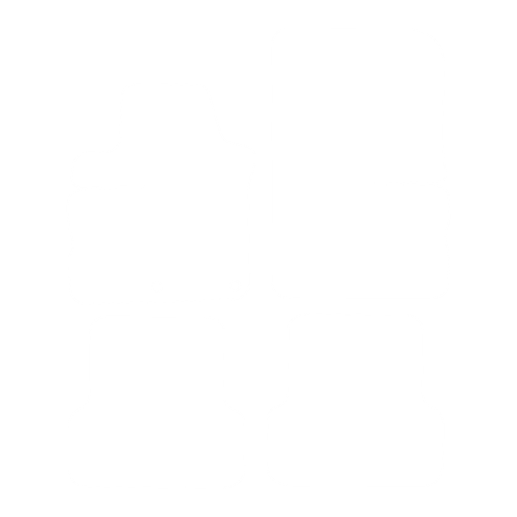 Komplet dywaników EVA do Renault Modus 2004-2012 - obrys