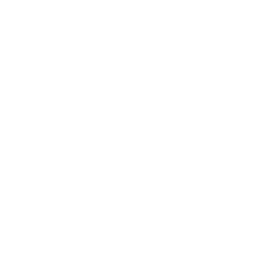Komplet dywaników EVA do Renault Vel Satis 2002-2009 - obrys