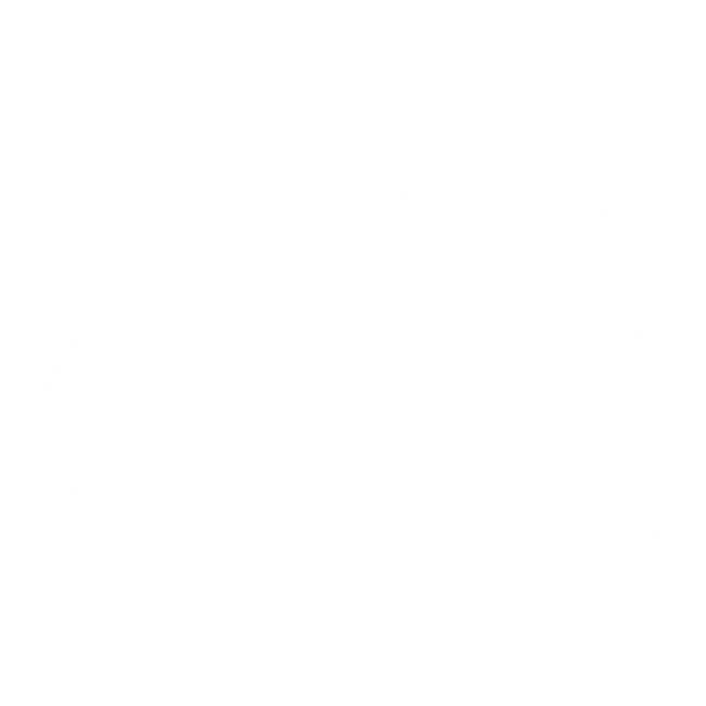 Dywaniki EVA do Renault Kangoo II 2008-2021 2 siedzeń