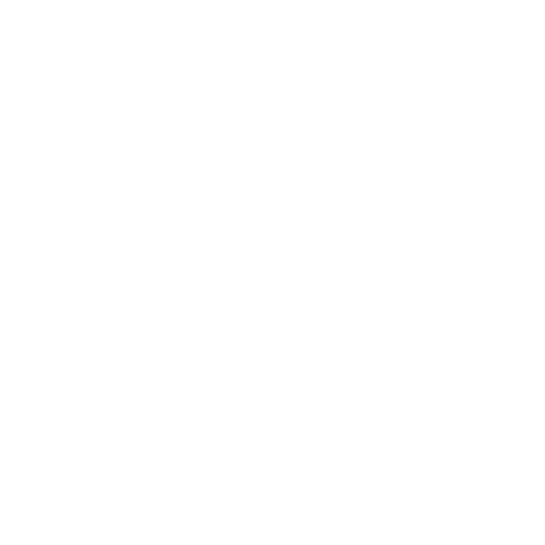 Komplet dywaników EVA do Renault Scenic I 1996-2003 - obrys