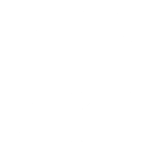 Komplet dywaników EVA do Renault Megane I Coupe 1995-2002 - obrys