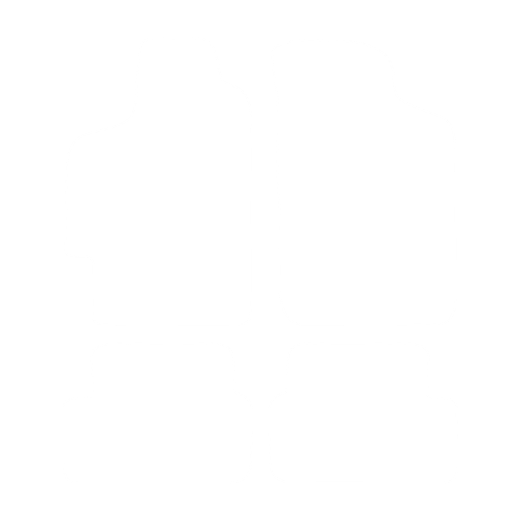 Komplet dywaników EVA do Renault Laguna I 1993-1998 - obrys