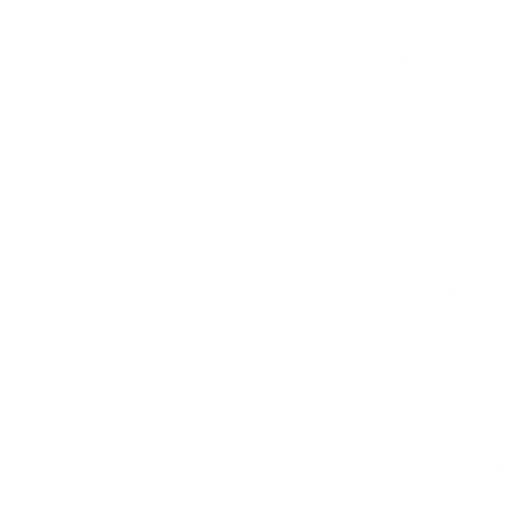 Komplet dywaników EVA do Renault Scenic III (5 siedzeń) 2009-2016 - obrys