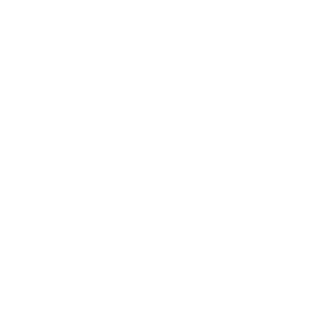 Dywaniki EVA do Renault Kangoo I 1998-2008 (4 drzwi) 1998-2008