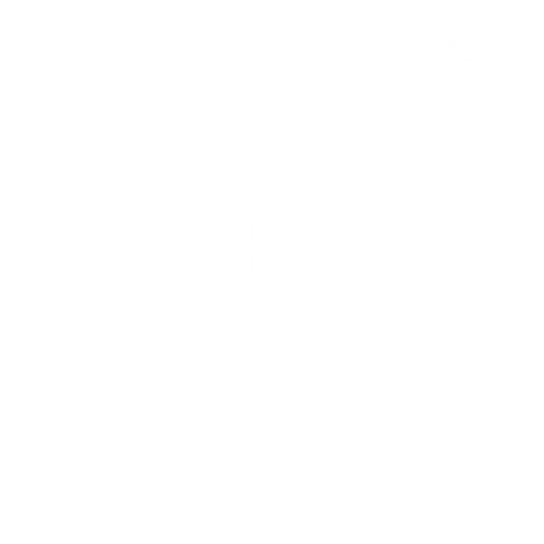 Komplet dywaników EVA do Renault Zoe 2012- - obrys